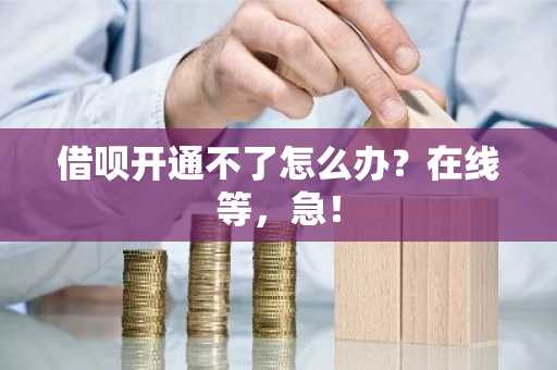 借呗开通不了怎么办？在线等，急！