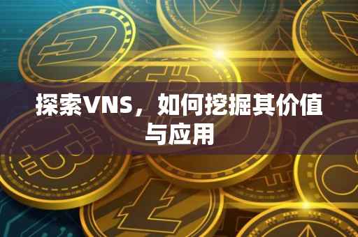 探索VNS，如何挖掘其价值与应用