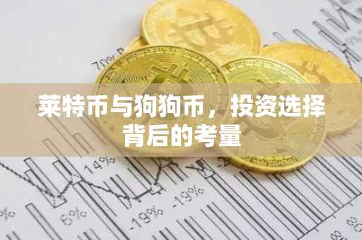 莱特币与狗狗币，投资选择背后的考量