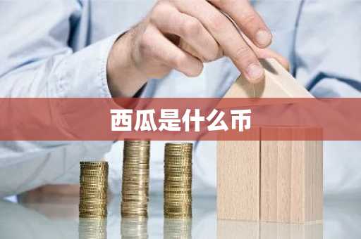 西瓜是什么币