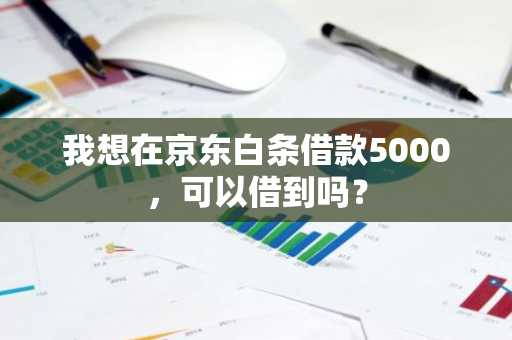 我想在京东白条借款5000，可以借到吗？