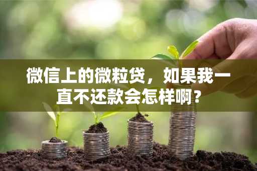 微信上的微粒贷，如果我一直不还款会怎样啊？