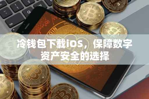 冷钱包下载iOS，保障数字资产安全的选择