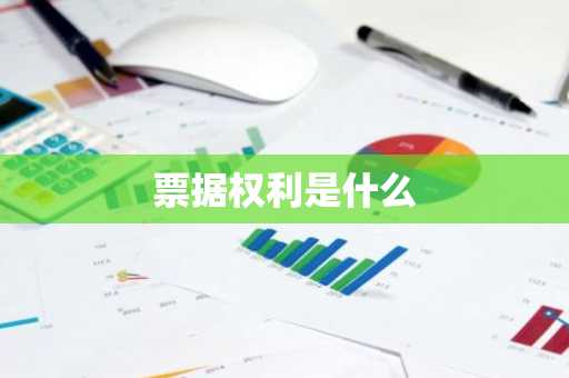票据权利是什么