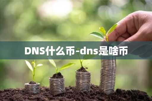 DNS什么币-dns是啥币