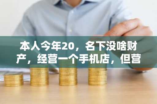 本人今年20，名下没啥财产，经营一个手机店，但营业执照不是我的，能贷款10万吗？