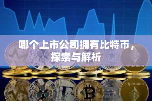 哪个上市公司拥有比特币，探索与解析