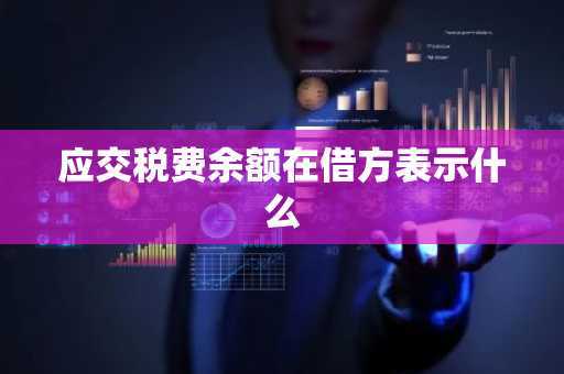 应交税费余额在借方表示什么