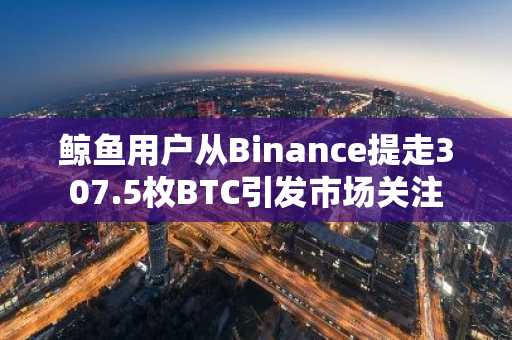鲸鱼用户从Binance提走307.5枚BTC引发市场关注