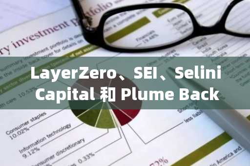 LayerZero、SEI、Selini Capital 和 Plume Back 超个性化 AI 加密发现引擎的创始人