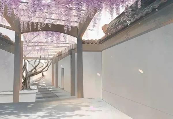 烟雨江湖化玄十一剑怎么学到（烟雨江湖化玄十一剑怎么学到第七重）