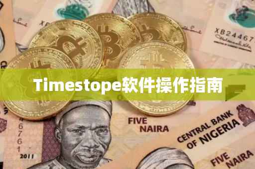 Timestope软件操作指南