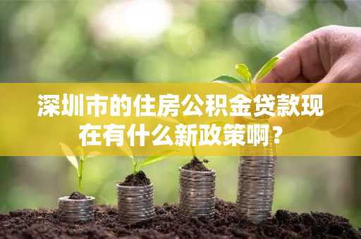 深圳市的住房公积金贷款现在有什么新政策啊？