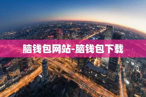 脑钱包网站-脑钱包下载