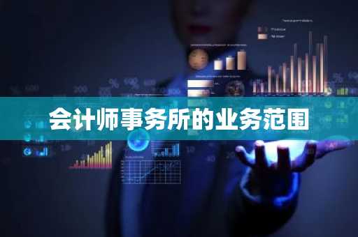 会计师事务所的业务范围