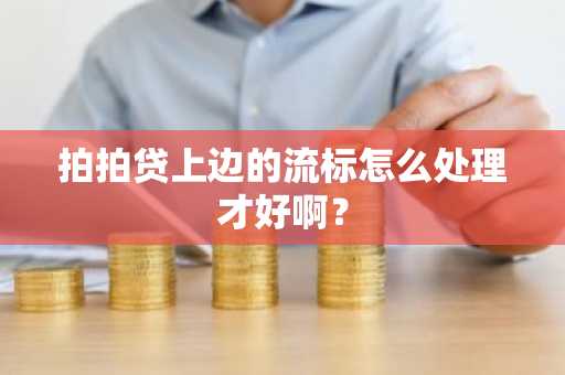 拍拍贷上边的流标怎么处理才好啊？