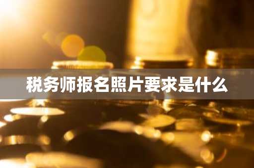税务师报名照片要求是什么