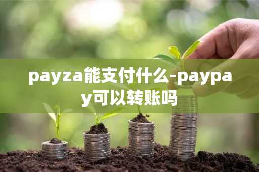 payza能支付什么-paypay可以转账吗