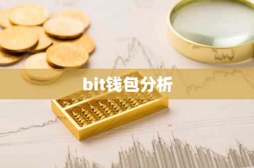 bit钱包分析