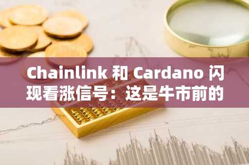 Chainlink 和 Cardano 闪现看涨信号：这是牛市前的突破吗？