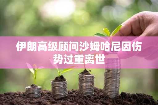 伊朗高级顾问沙姆哈尼因伤势过重离世