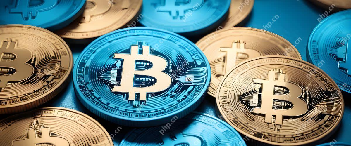 数字货币交易所合规性排名：2025年十大持牌平台一览