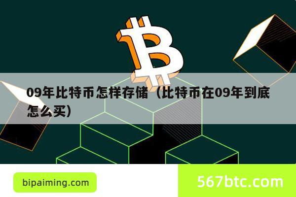 09年比特币怎样存储（比特币在09年到底怎么买）