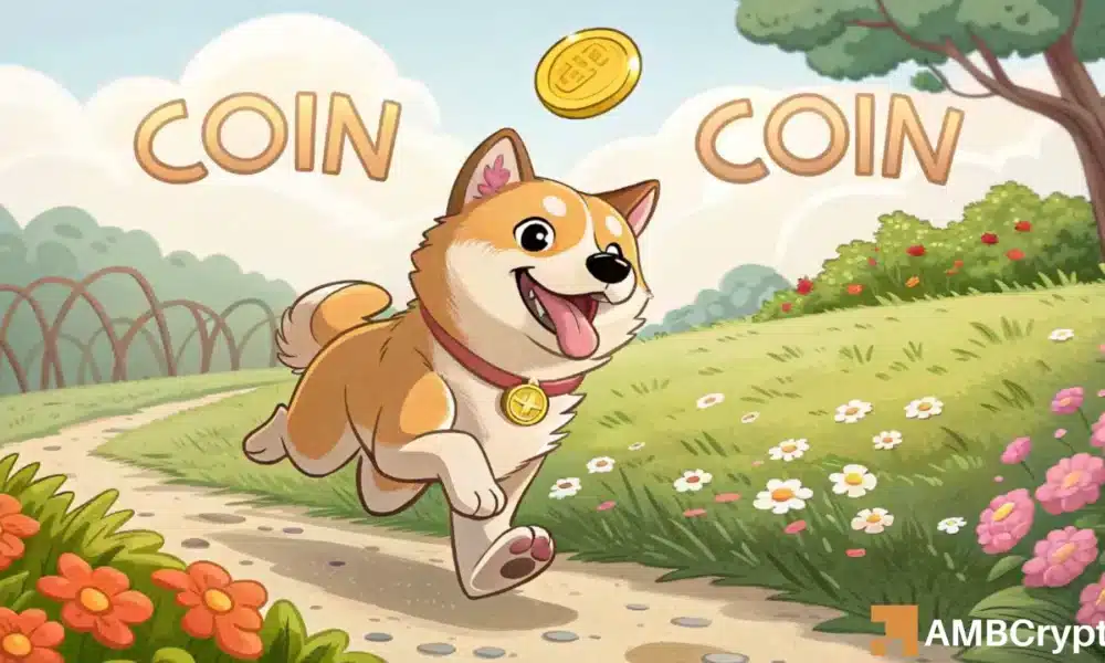 Dogecoin的[Doge]在过去24小时内掉落可能对资产有益