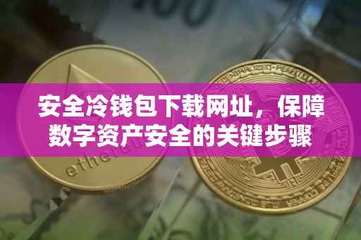 安全冷钱包下载网址，保障数字资产安全的关键步骤
