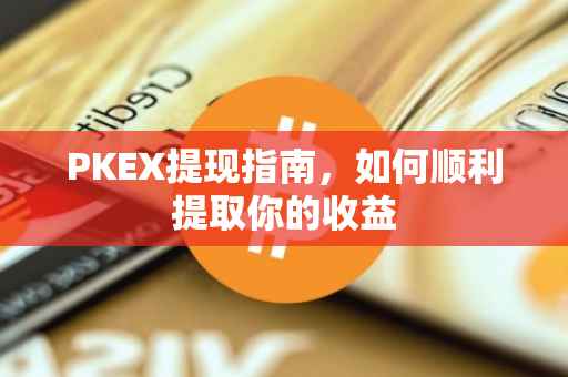 PKEX提现指南，如何顺利提取你的收益