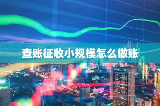 查账征收小规模怎么做账
