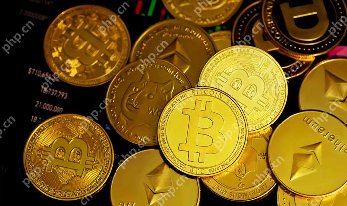 盘点全球虚拟货币三大交易平台(2025年加密货币三大交易所)