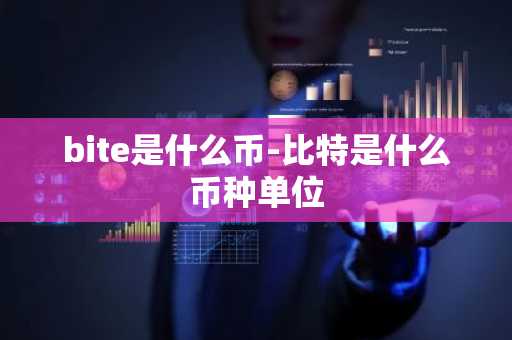 bite是什么币-比特是什么币种单位