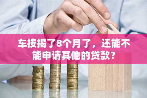 车按揭了8个月了，还能不能申请其他的贷款？