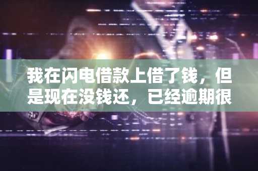 我在闪电借款上借了钱，但是现在没钱还，已经逾期很久了，会有什么后果？