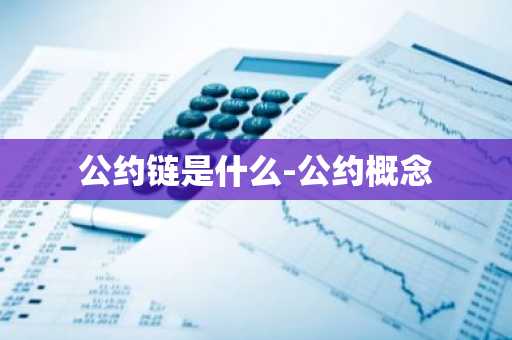 公约链是什么-公约概念