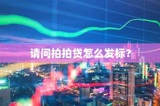 请问拍拍贷怎么发标？