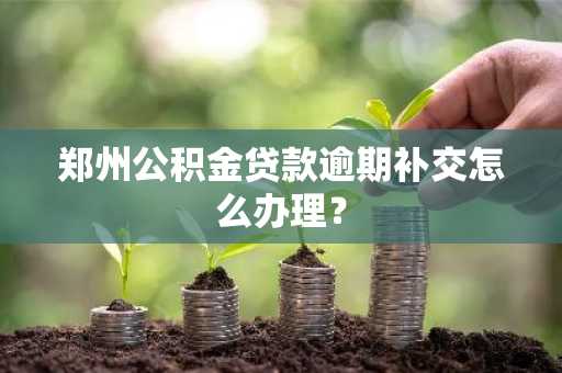 郑州公积金贷款逾期补交怎么办理？