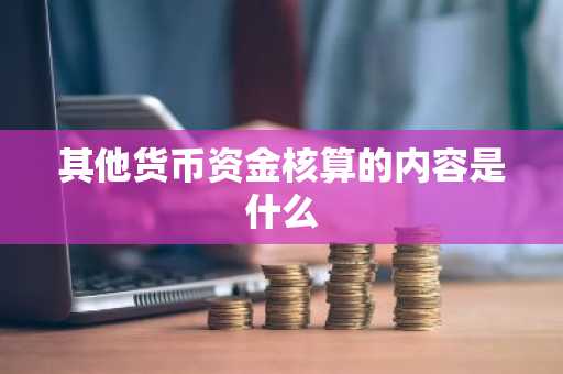 其他货币资金核算的内容是什么