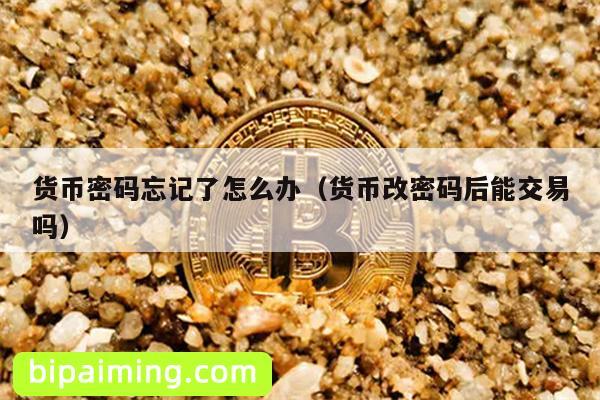 货币密码忘记了怎么办（货币改密码后能交易吗）