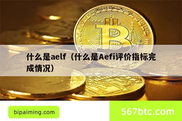 什么是aelf（什么是Aefi评价指标完成情况）