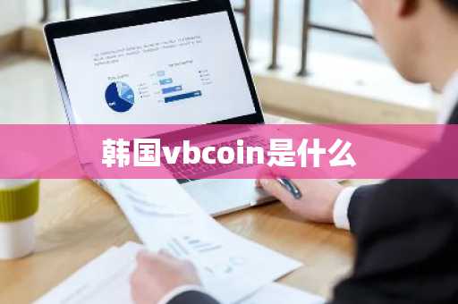韩国vbcoin是什么