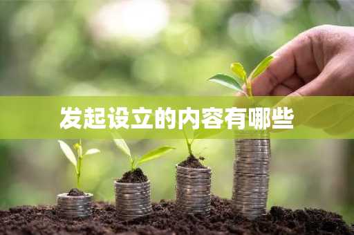 发起设立的内容有哪些