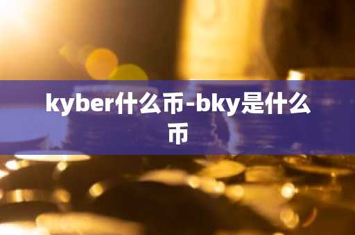 kyber什么币-bky是什么币