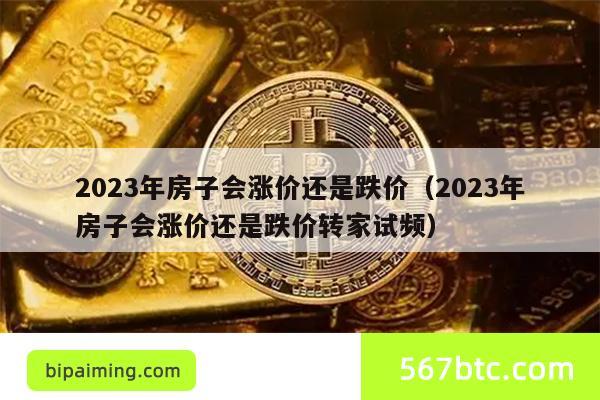 2023年房子会涨价还是跌价（2023年房子会涨价还是跌价转家试频）