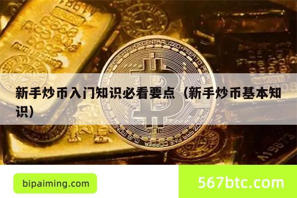 新手炒币入门知识必看要点（新手炒币基本知识）
