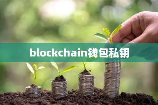blockchain钱包私钥