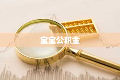宝宝公积金