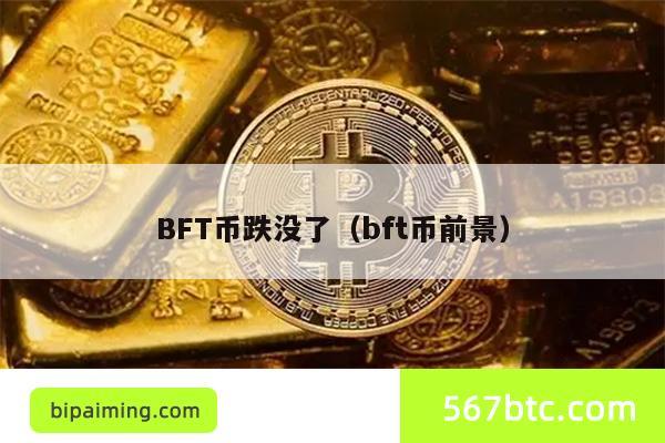 BFT币跌没了（bft币前景）