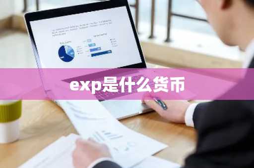 exp是什么货币